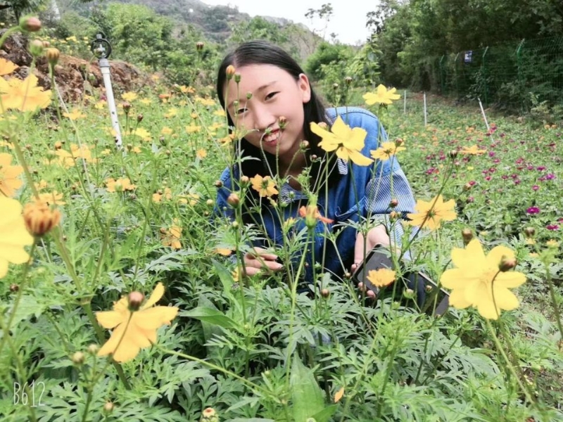 哈哈的第一张照片--云南中老年相亲网